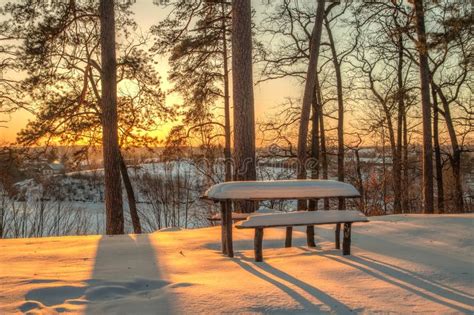 Winter Scene Table Bench And Trees In The Snow On The Sunset Stock