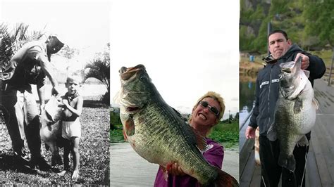 Biggest Bass Ever Caught The World Record Bass Catches Wired2fish
