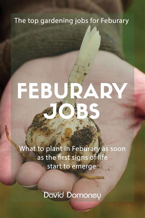 Gardening Calendar The Top 3 Gardening Jobs For February