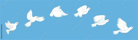 Flying Bird Animation White Pigeon Flapping Wings Sequence Stop