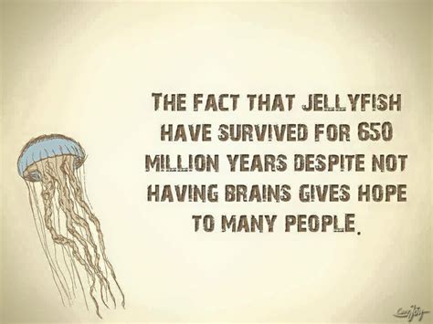 Parenting With A Smile Jellyfish Have No Brains