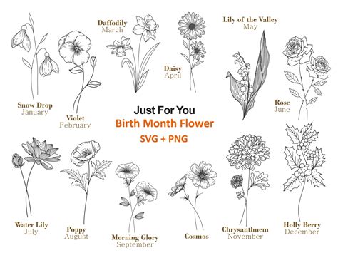 Birth Month Flowers Svg Birthday Flower Flower Clipart Flower Svg