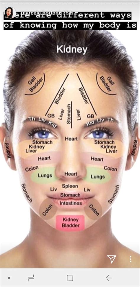 Pin By Georgina Uribe Gómez On Maquillaje Reflexology Acupressure Acupressure Points