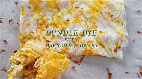 How To Bundle Dye With Marigold Flowers Step By Step At Home