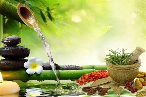 Some Highly Effective Ayurvedic Treatments And Its Benefits Sahil Popli