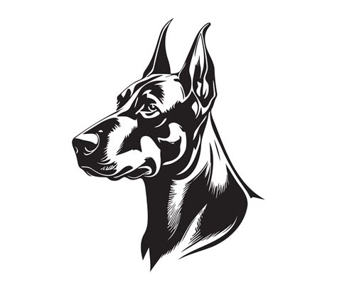 Doberman Face Silhouette Dog Face Black And White Doberman Vector