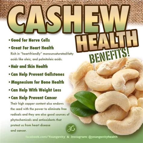 Health Benefits Of Cashews Cashews Benefits Health And Nutrition