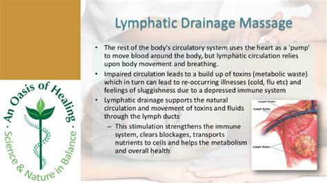 Frank Morgan And Real Food Lymphatic Drainage Massage Benefits
