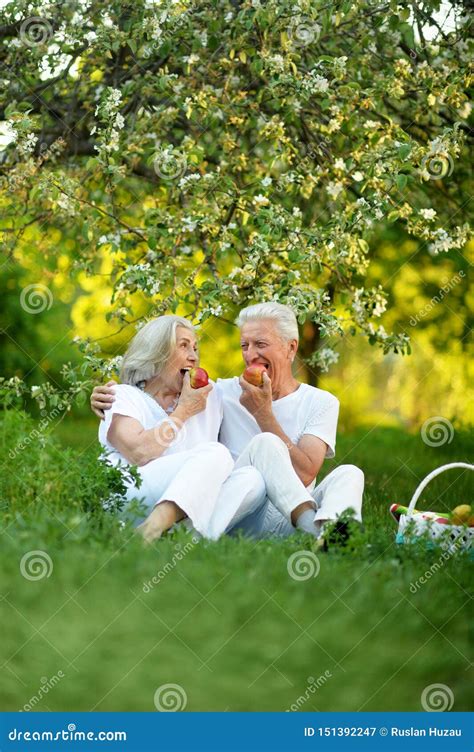Portrait Of Happy Senior Couple Having Picnic Stock Image Image Of Romantic Background 151392247