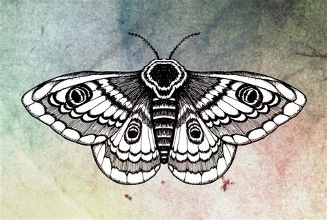 Moth By Ajerf On Deviantart Moth Tattoo Traditional Moth Tattoo