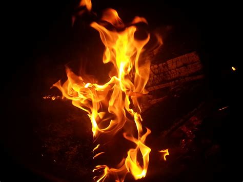 Free Images Warm Flame Firewood Campfire Bonfire Heat Burning