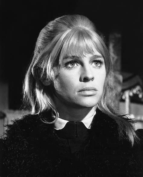 Find the perfect julie christie stock photos and editorial news pictures from getty images. Doctor Zhivago, Julie Christie, 1965 Photograph by Everett