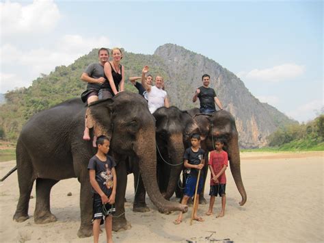 pin auf elephants and sexy women fun travel