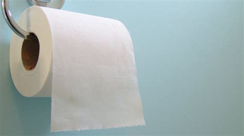 Knitted Toilet Paper Cheap Buy Save 52 Jlcatjgobmx