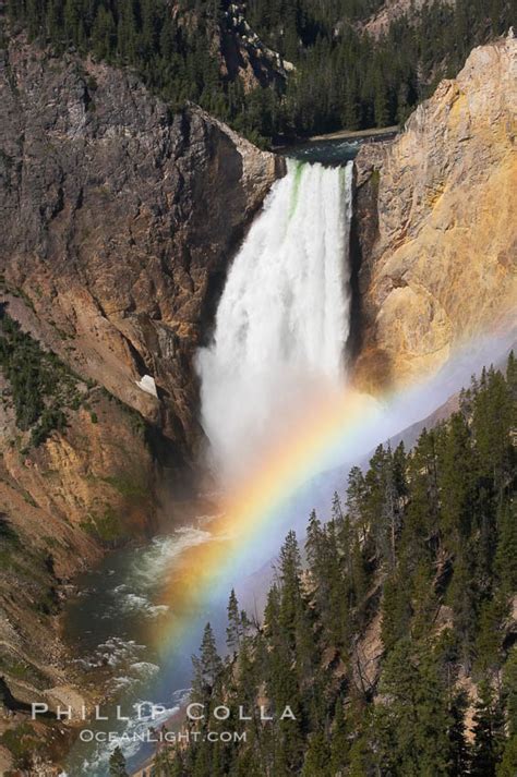Rainbow Lower Yellowstone Falls Grand Canyon Of The Yellowstone