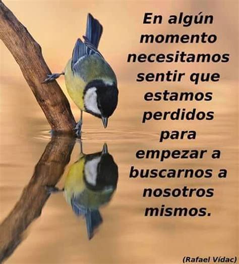 These four noble truths are the truth of suffering, the list of top 13 famous quotes and sayings about chief guest momento to read and share with friends. En algun momento | Spanish quotes, Birds, Spanish