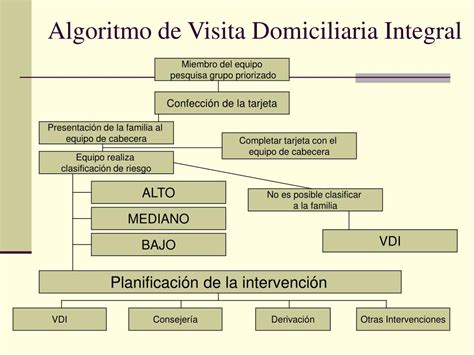 Ppt Visita Domiciliaria Integral Servicio De Salud Vi A Del Mar