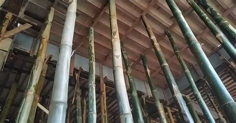 A22110 Pembuatan 1 M2 Steger Perancah Dari Bambu Konstruksi Sipil
