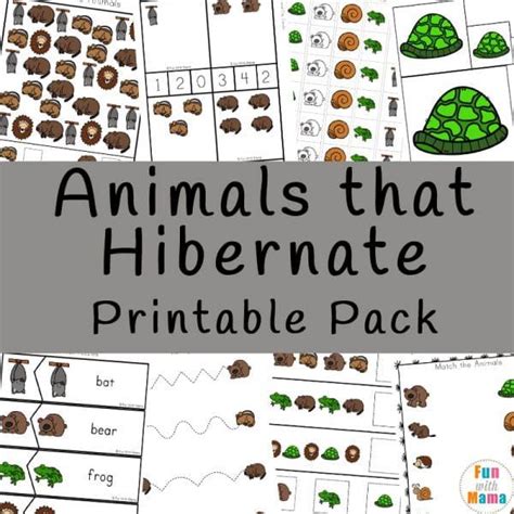 Free Printable Packs Animals That Hibernate Hibernating Animals