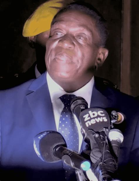 Emmerson Mnangagwa Declared Winner Of Zimbabwe Presidential Election • Ebony