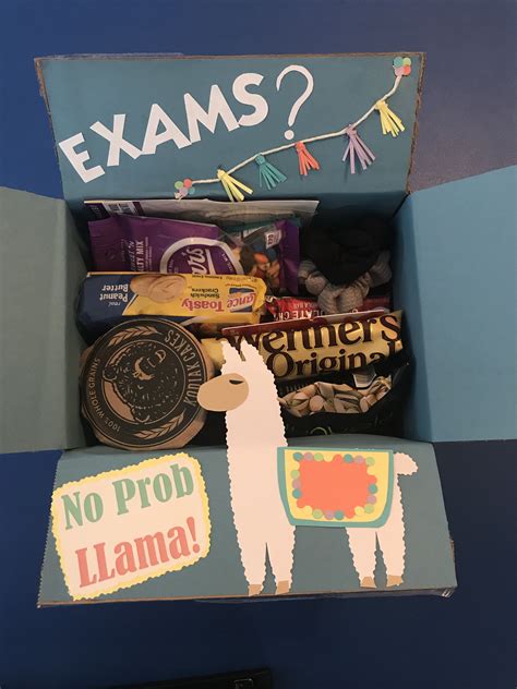 T Box For The College Studentexams No Prob Llama Care Package