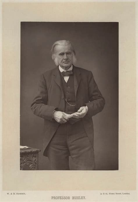 Npg X11999 Thomas Henry Huxley Portrait National Portrait Gallery