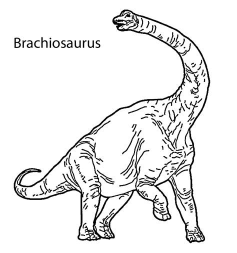 Brachiosaurus Drawing at GetDrawings | Free download
