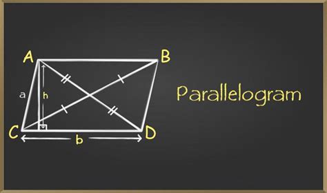 Parallelogram Definition Types Formulas Sample Problems Faqs