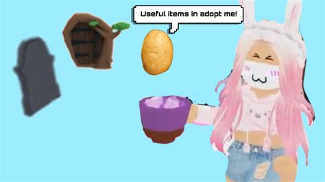 Most Useful Items In Roblox Adopt Me Youtube