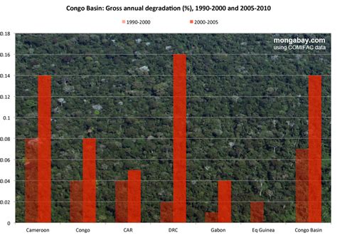 Deforestation Increases In The Congo Rainforest