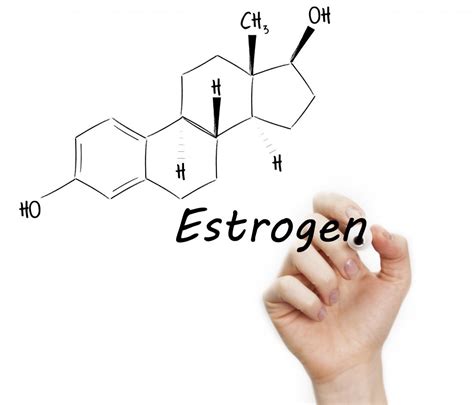Tutto Ciò Che Devi Sapere Sugli Estrogeni Itmedbook