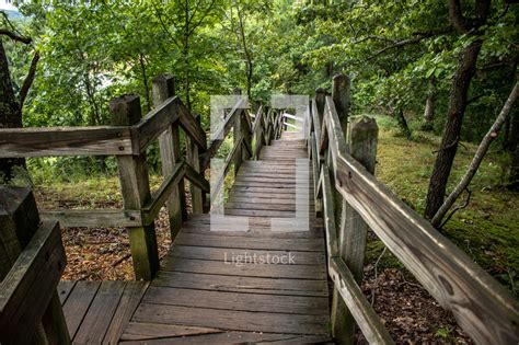 Wooden Boardwalk In A Forest Park — Photo — Lightstock