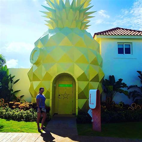 Who Wants To Live In A Pineapple Under The Sea Pineapple Under The