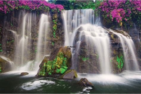 Waterfall Flowers Wallpapers Wallpaper Cave