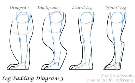 How To Draw Furry Legs At How To Draw