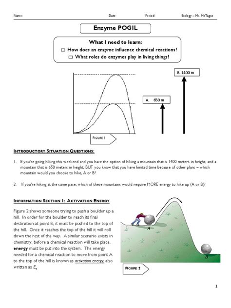 You could not without help going following books accrual or library or borrowing from your associates to gate them. Photosynthesis & Cellular Respiration Pogil Answer Key ...