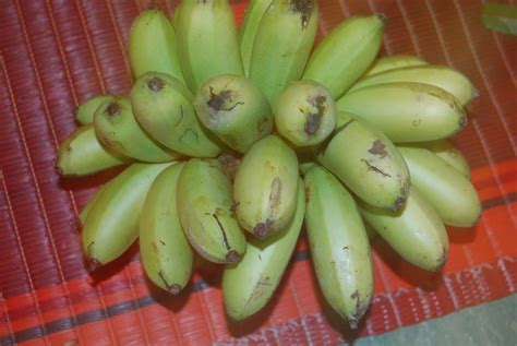 Bananas Pisang Emas Suria Helang Lui