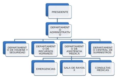 Organigrama De Un Centro De Salud An Lisis De La Estructura The Best
