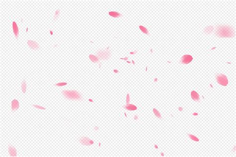 Cherry Blossom Romantic Flower Falling Petals Png Image Picture Free Download