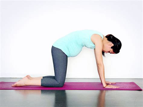 Knees will be about hip distance apart. 6 Easy Prenatal Yoga Poses - Ways to Cope with Pregnancy ...