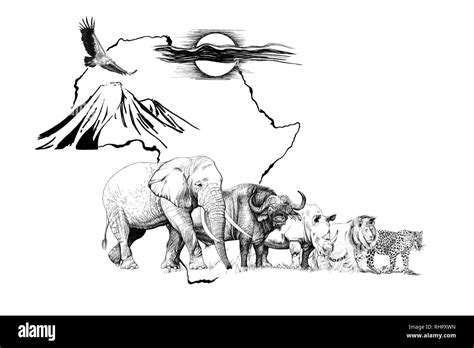 Big African Five Animal On Africa Map Bakground With Mount And Sun
