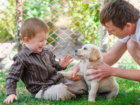 Beneficios De Que Un Niño Tenga Perro Todo Mascotas
