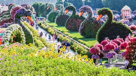 The Dubai Miracle Garden Is Magic With Over 50 Million Flowers Al Bawaba