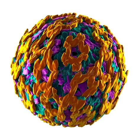 Yellow Fever Virus Isolated On White Stock Illustration Image 43059680