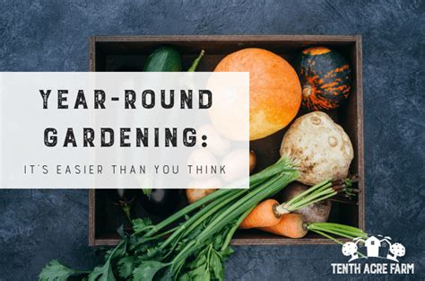 Year Round Gardening Its Easier Than You Think Usa News
