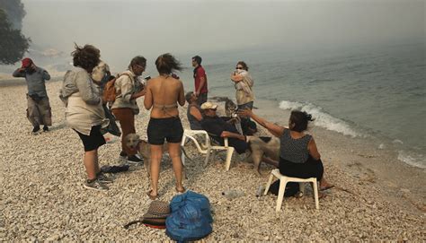 Κατέβασε τώρα και ζήσε τη μοναδική εμπειρία της άμεσης αθλητικής ενημέρωσης στο κινητό σου. Φωτιά τώρα Κινέτα: Εγκλωβισμένοι πολίτες στην παραλία ...
