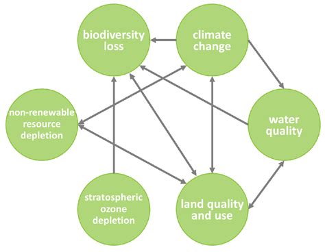 The Impact Of Environmental Change On Management Practices