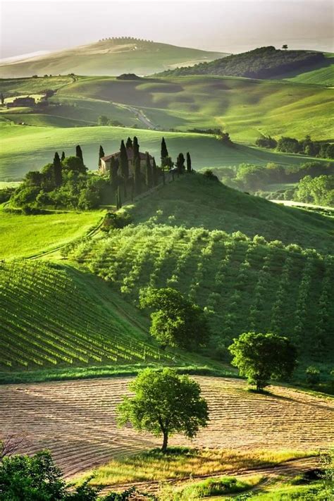 Toscane Vineyard Photography Tuscany Landscape Italy Travel Tips