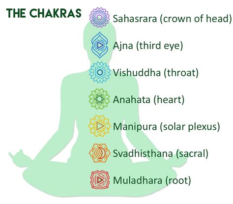 Yoga Explained Series Root Or Muladhara Chakra