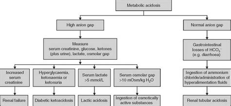 Pharmacologically Induced Metabolic Acidosis Springerlink